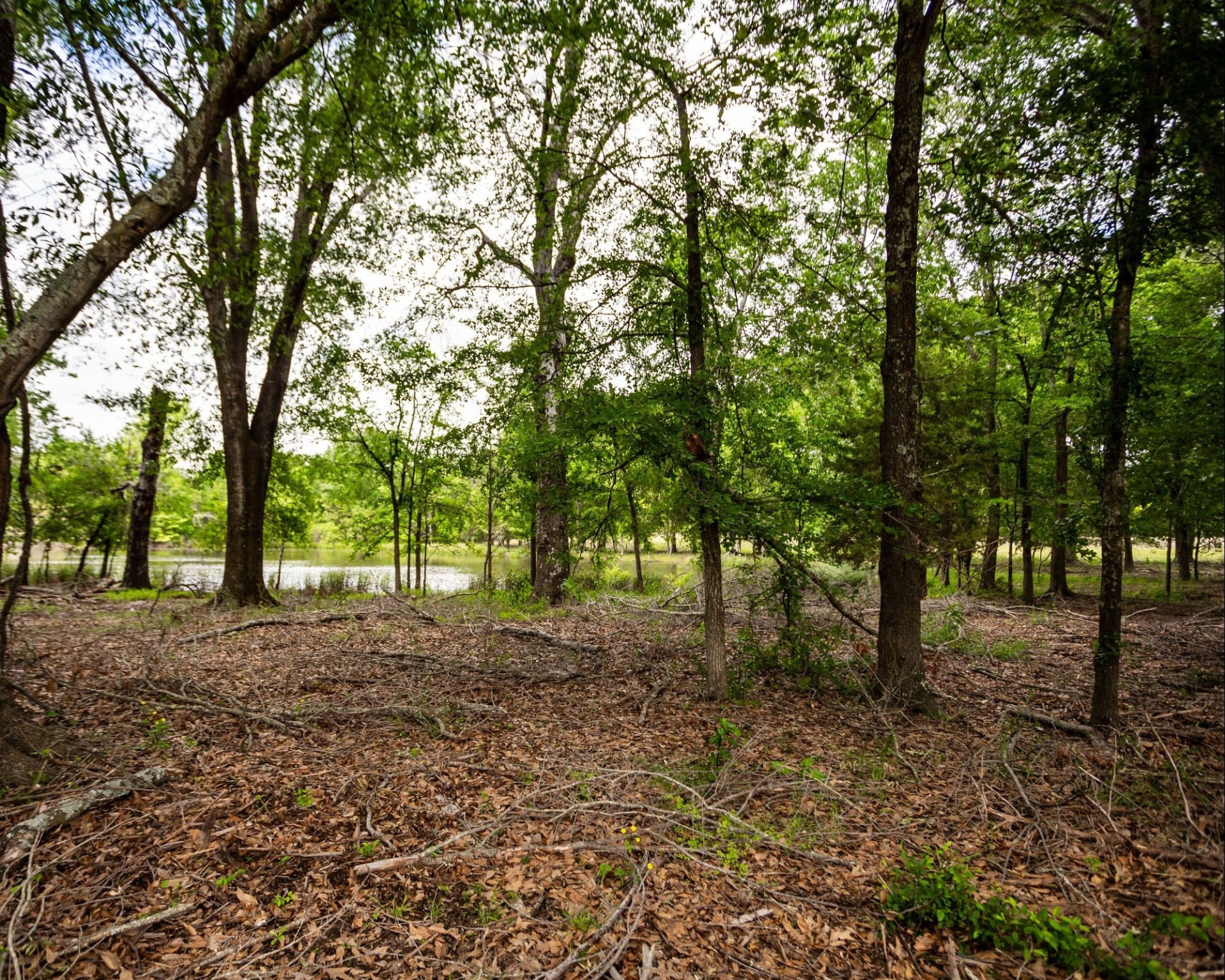 540 Vz County Road 2916 Eustace TX 75124