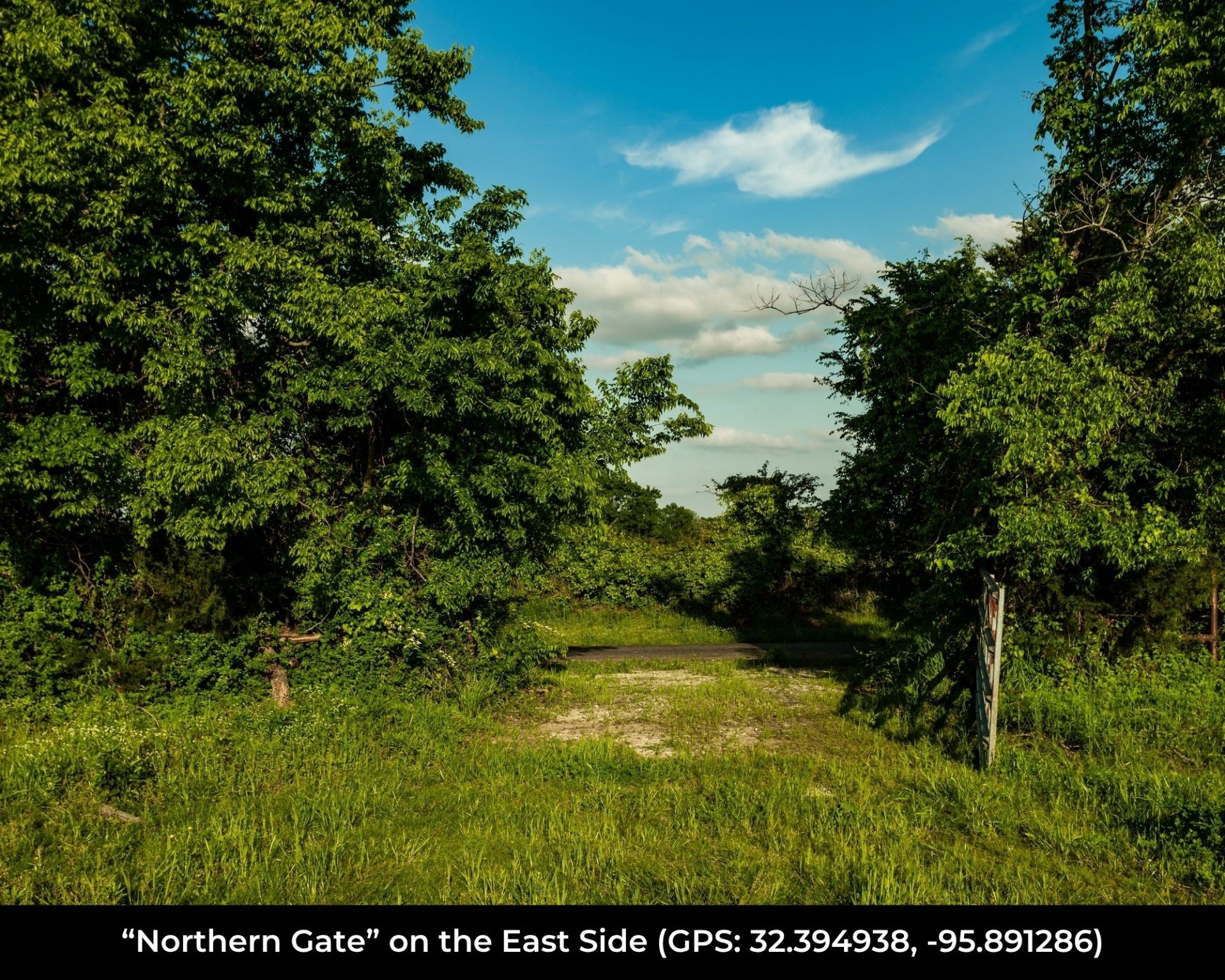540 Vz County Road 2916 Eustace TX 75124