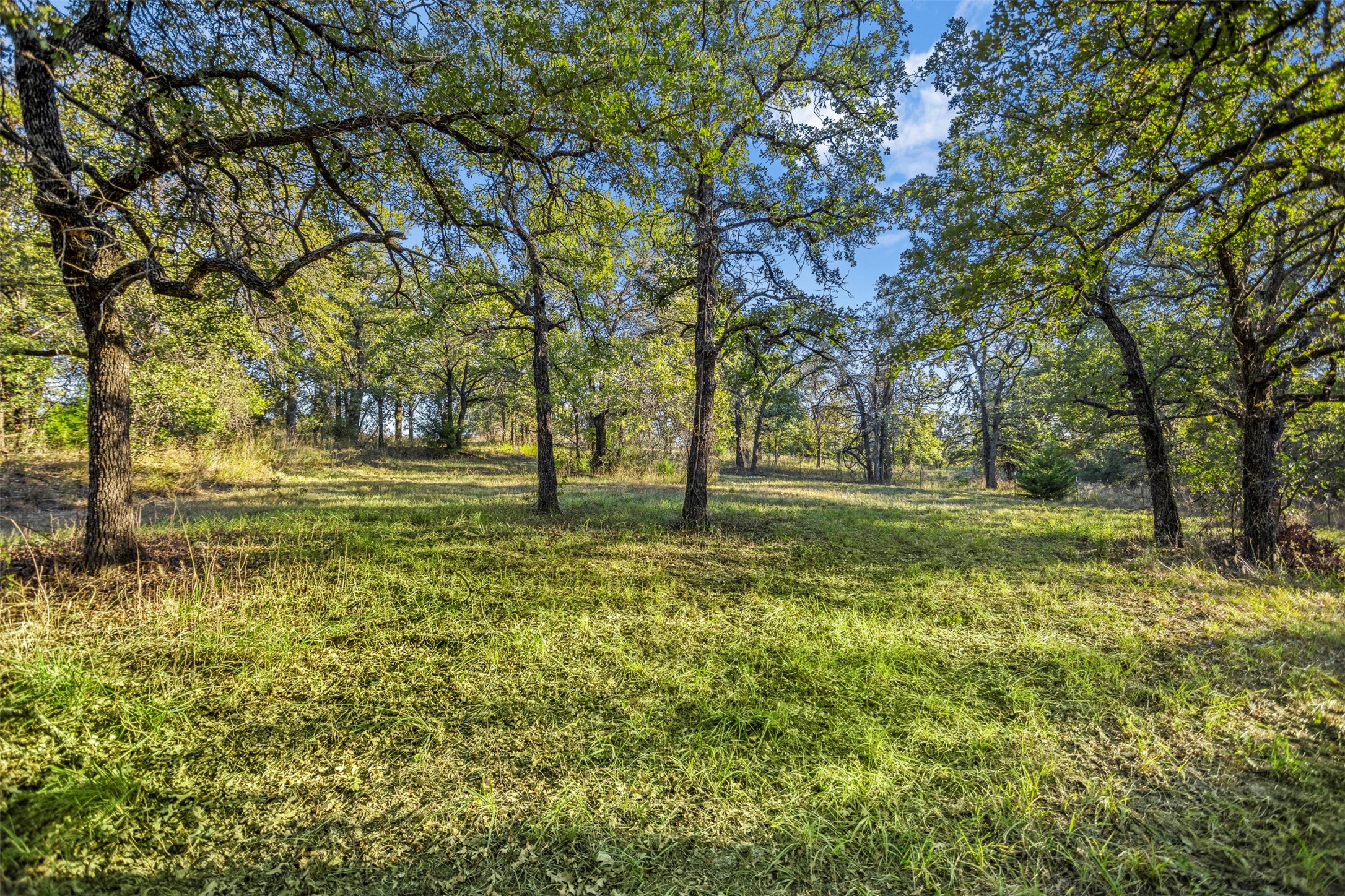 199 Cheyenne Trail Springtown TX 76082