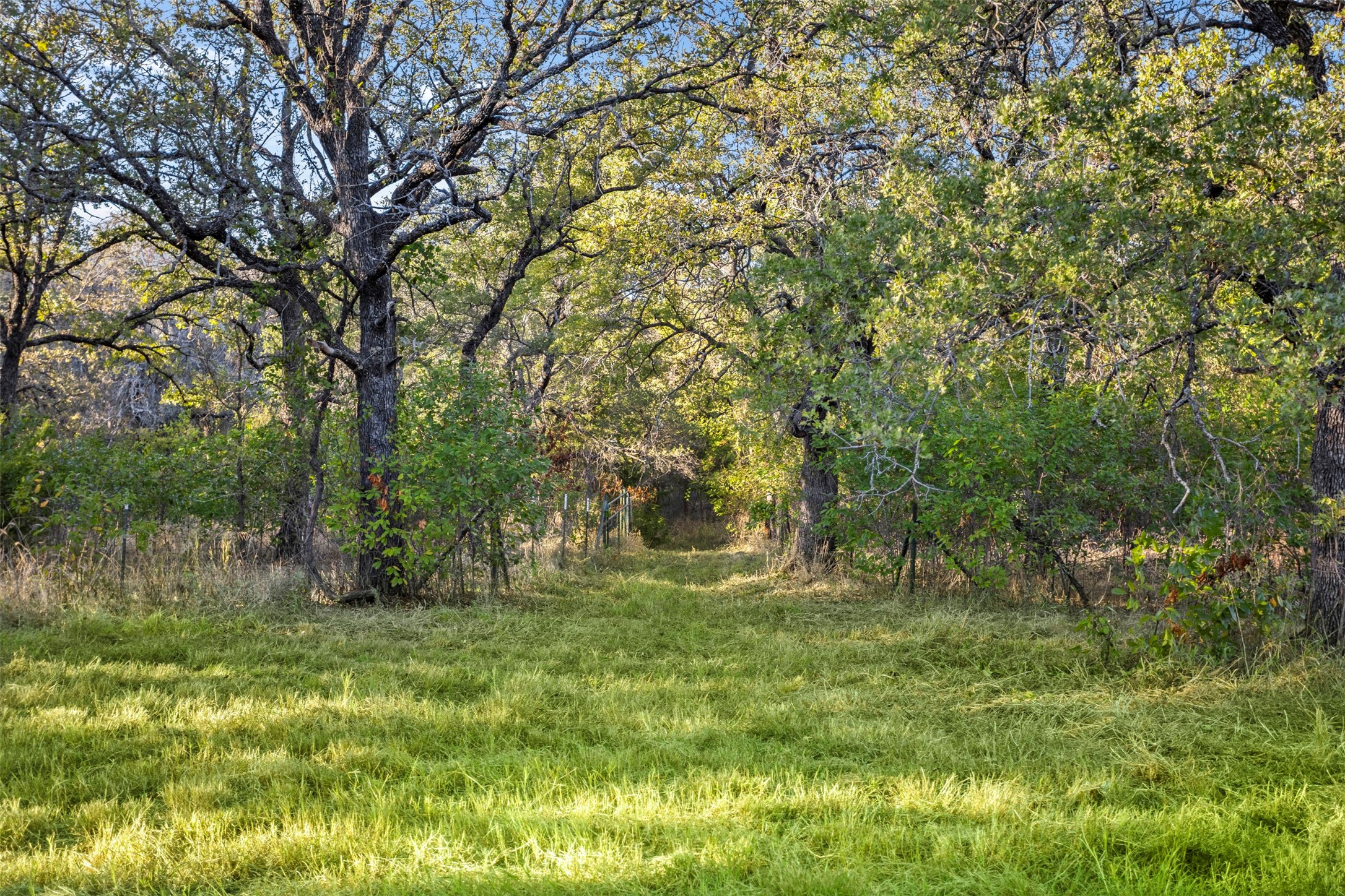 199 Cheyenne Trail Springtown TX 76082