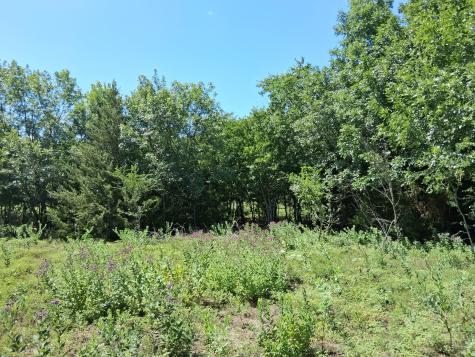 241 Texas Drive Palmer TX 75152