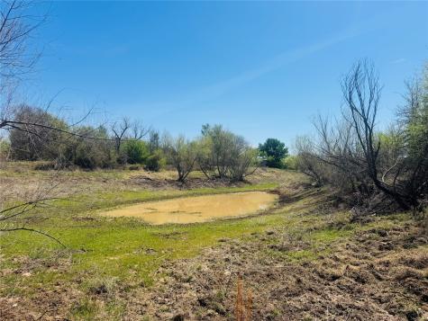 Tbd Georgia Pass Desdemona TX 76445