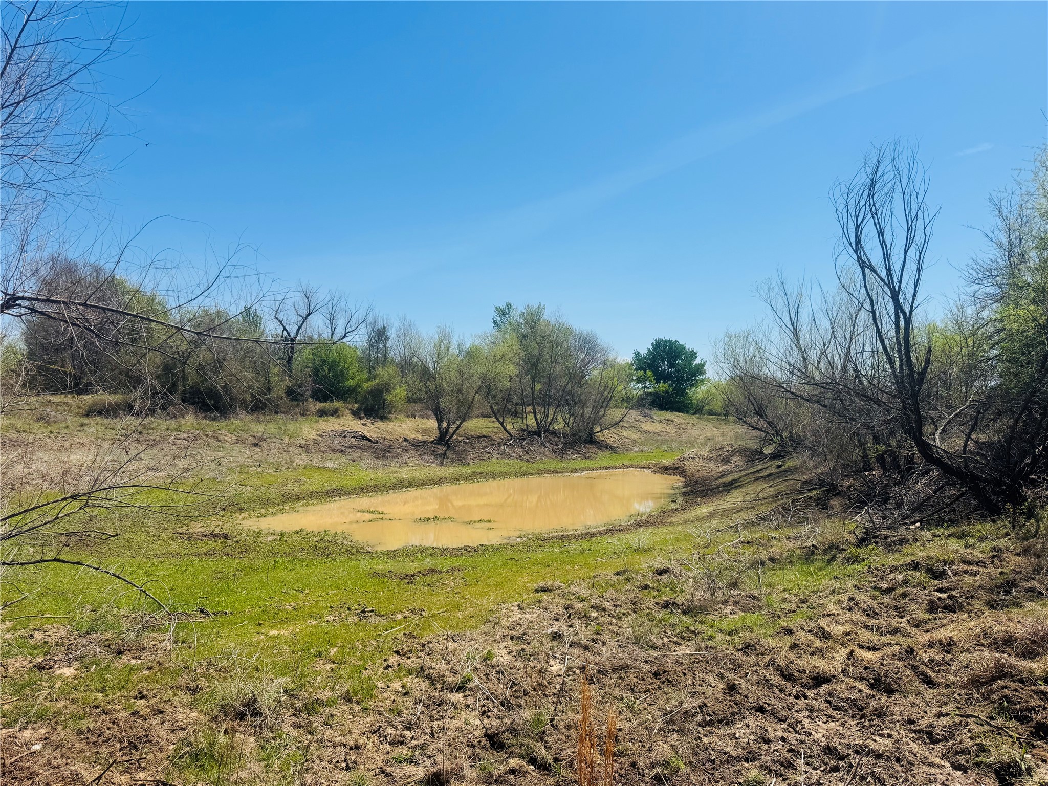 Tbd Georgia Pass Desdemona TX 76445