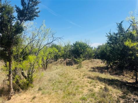 Tbd Georgia Pass Desdemona TX 76445