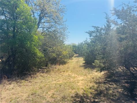 Tbd Georgia Pass Desdemona TX 76445