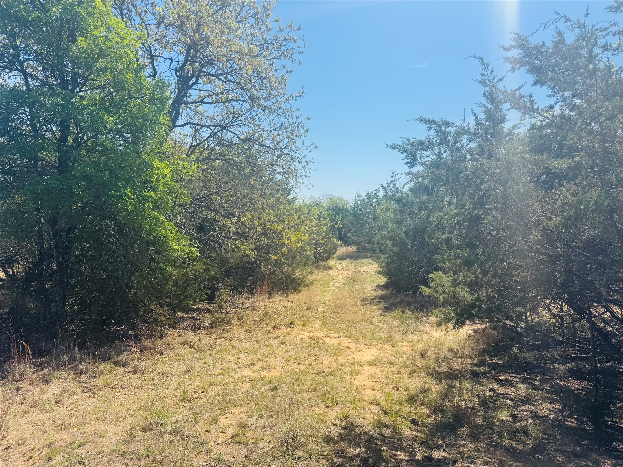 Tbd Georgia Pass Desdemona TX 76445