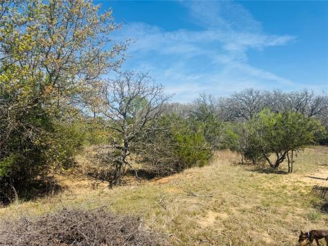 Tbd Georgia Pass Desdemona TX 76445