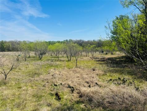 Tbd Georgia Pass Desdemona TX 76445