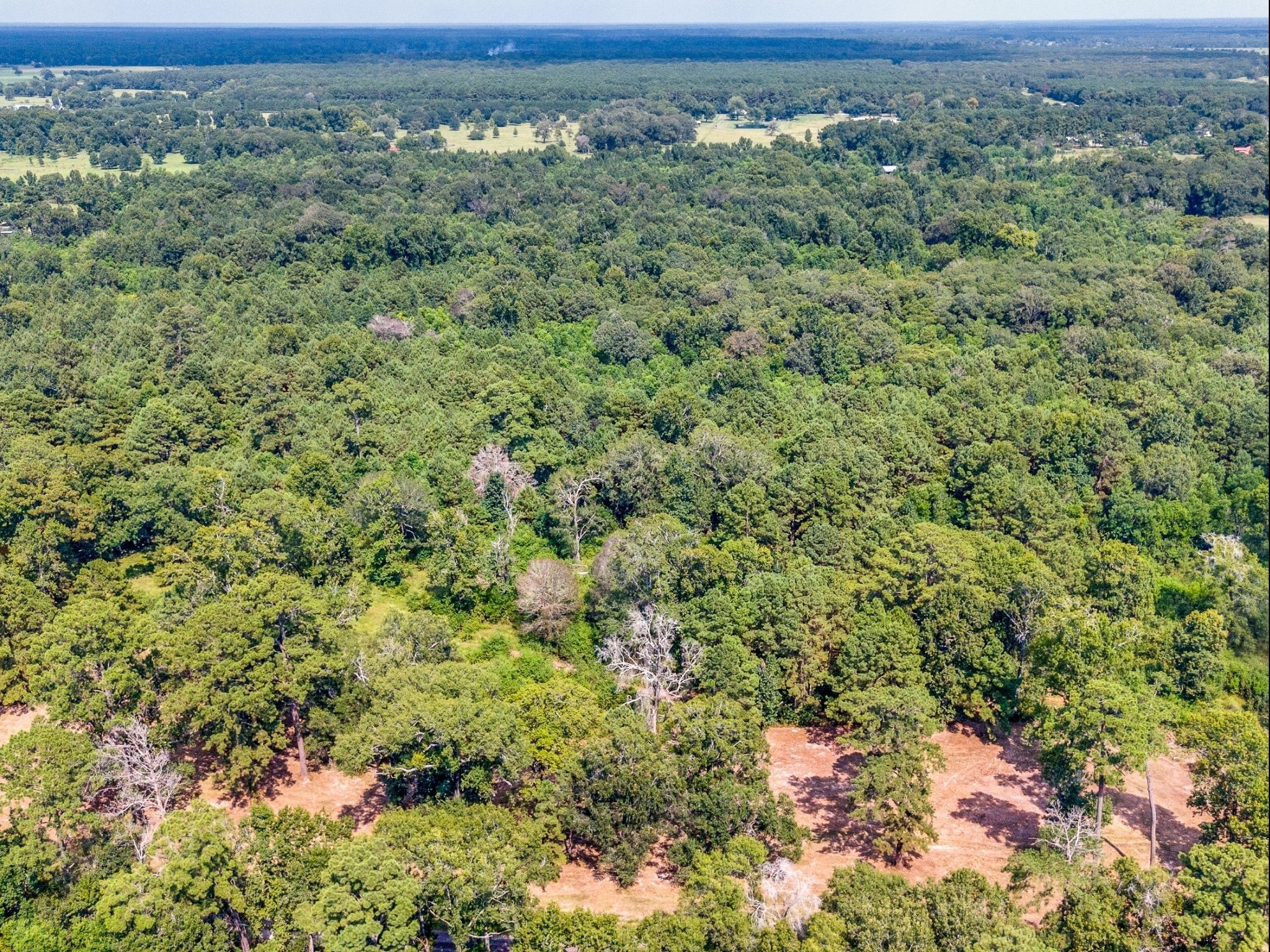 1166 Cr 2060 Hardin TX 77564