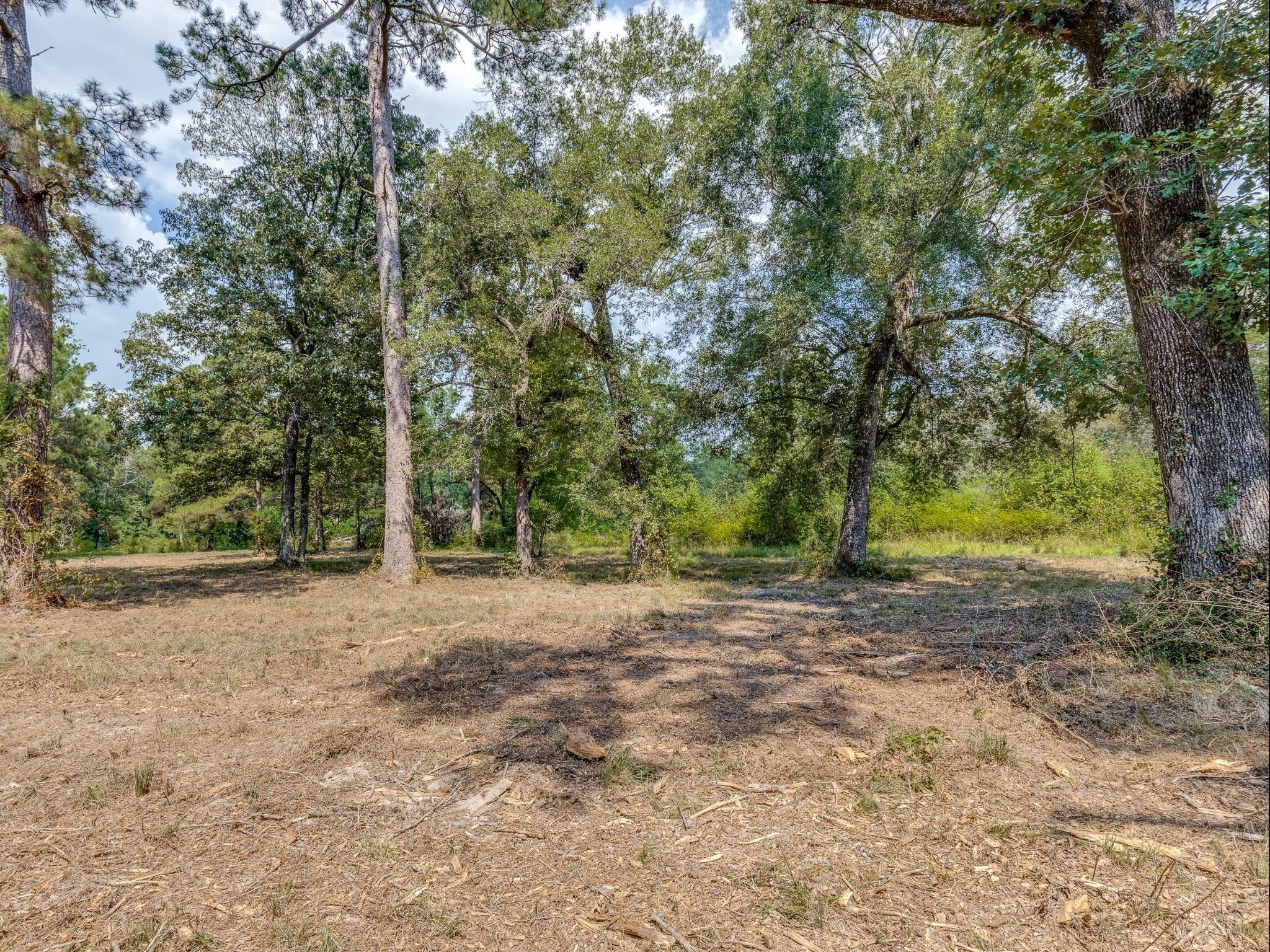1166 Cr 2060 Hardin TX 77564