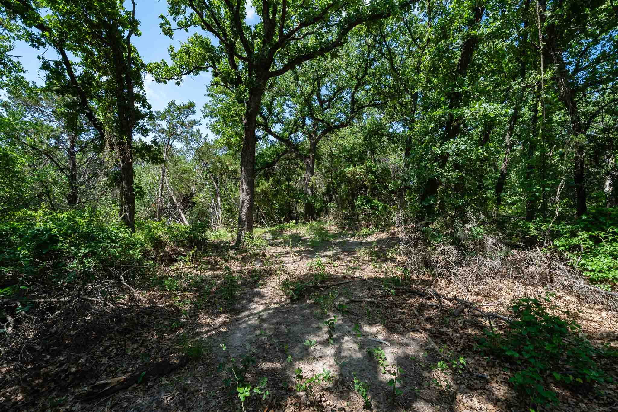 Tbd Fm 203 Glen Rose TX 76043