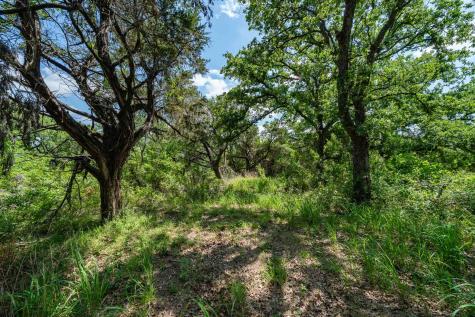 Tbd Fm 203 Glen Rose TX 76043