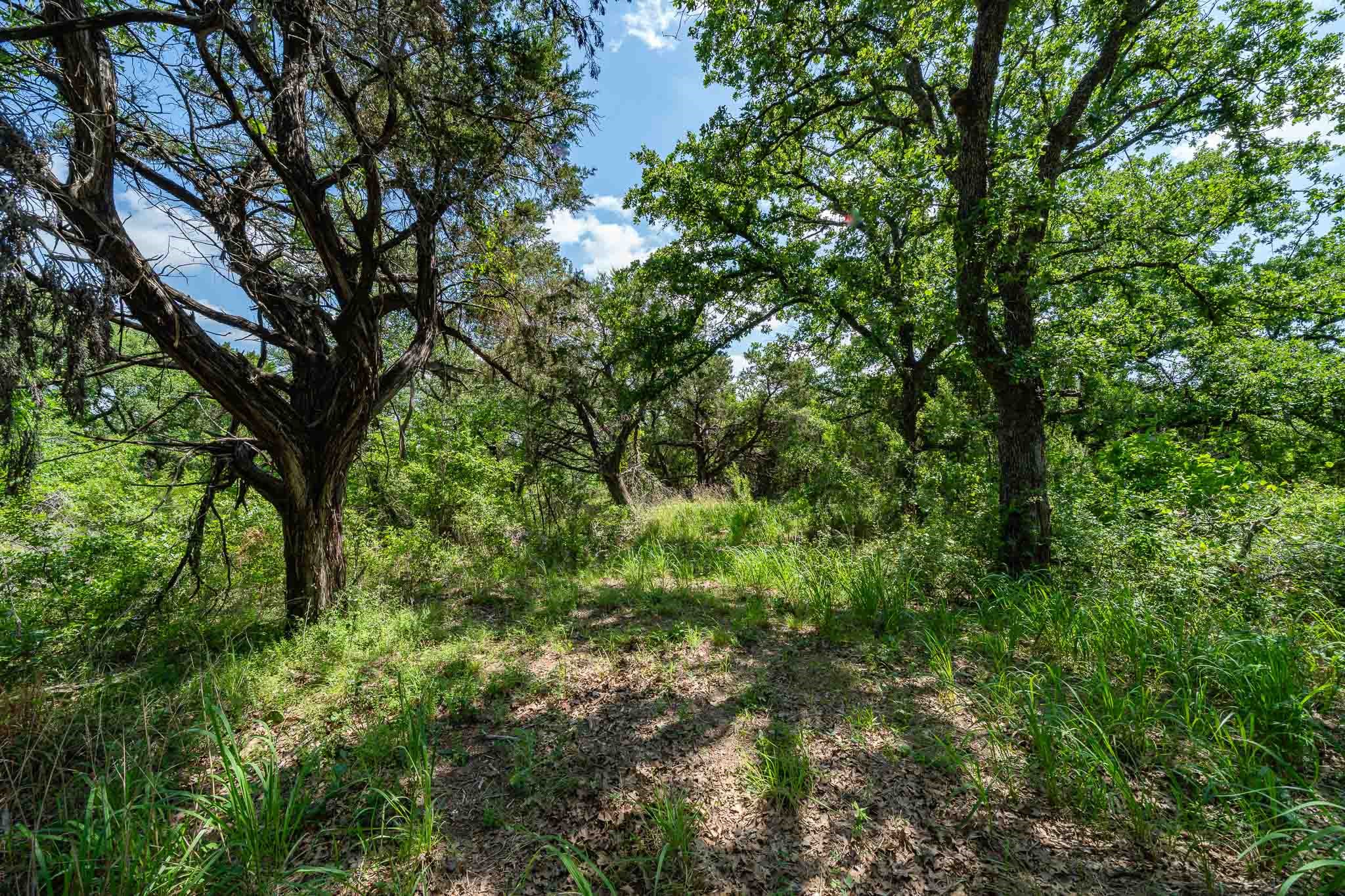Tbd Fm 203 Glen Rose TX 76043