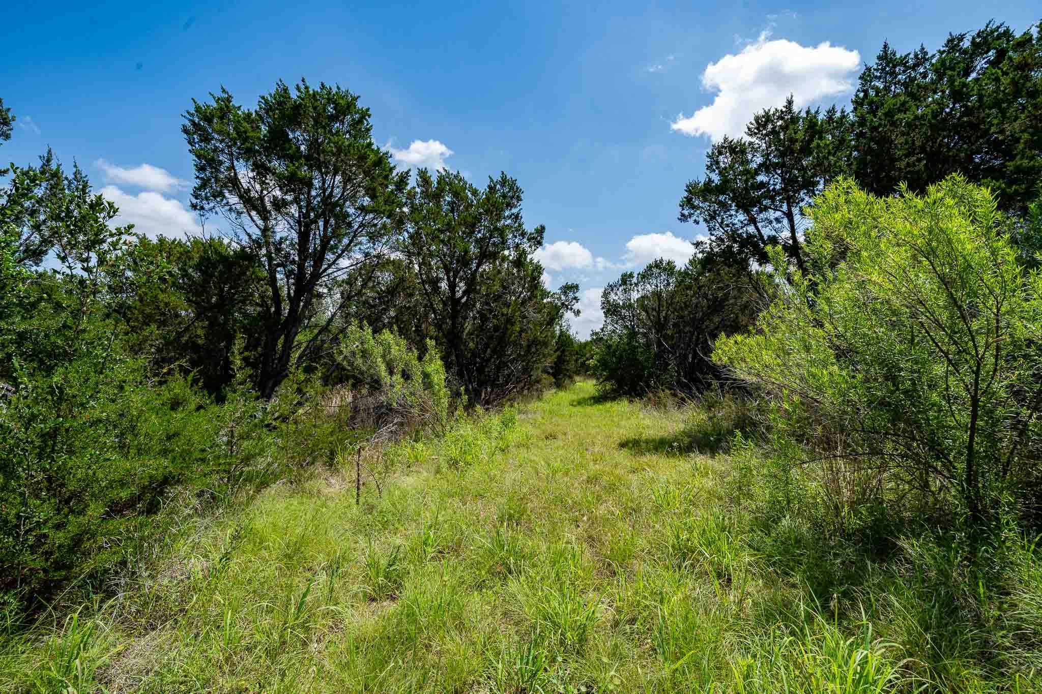 Tbd Fm 203 Glen Rose TX 76043