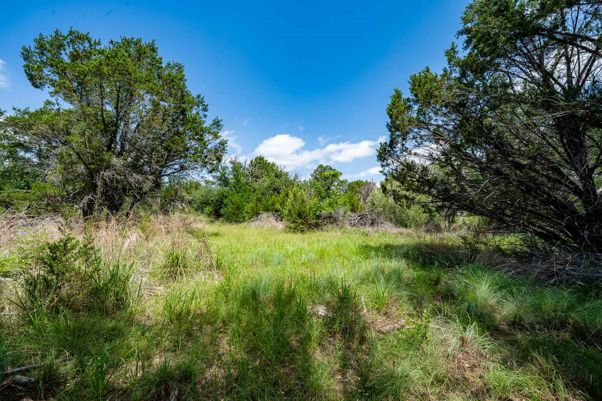 Tbd Fm 203 Glen Rose TX 76043