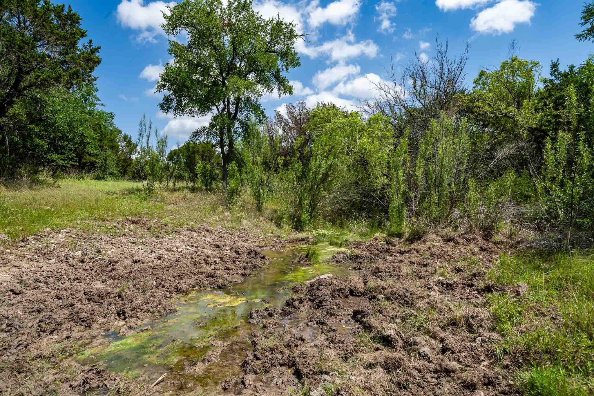 Tbd Fm 203 Glen Rose TX 76043