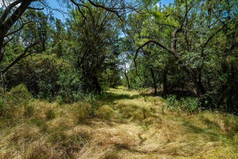 Tbd Fm 203 Glen Rose TX 76043