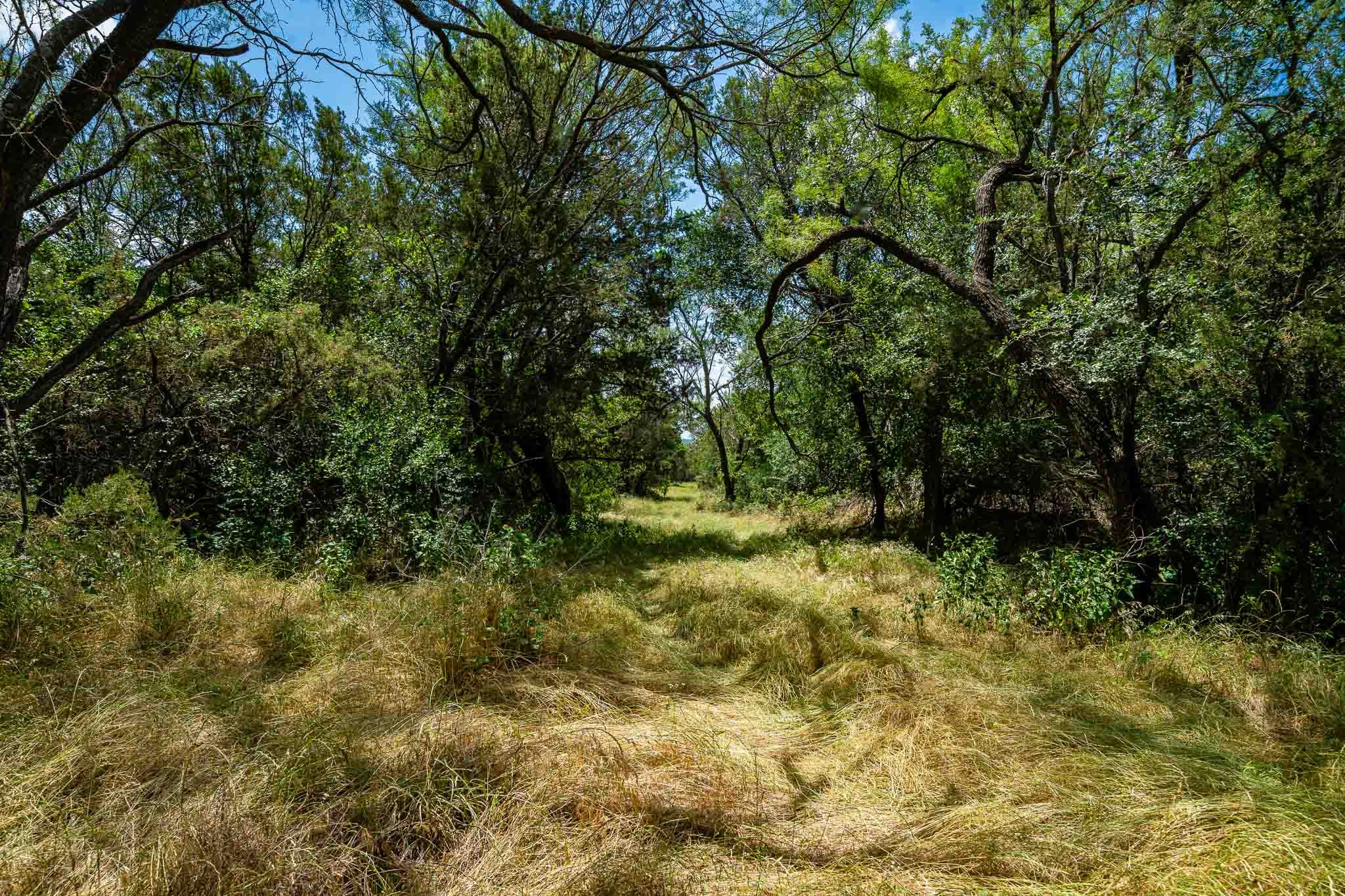 Tbd Fm 203 Glen Rose TX 76043