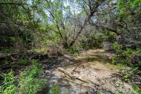 Tbd Fm 203 Glen Rose TX 76043