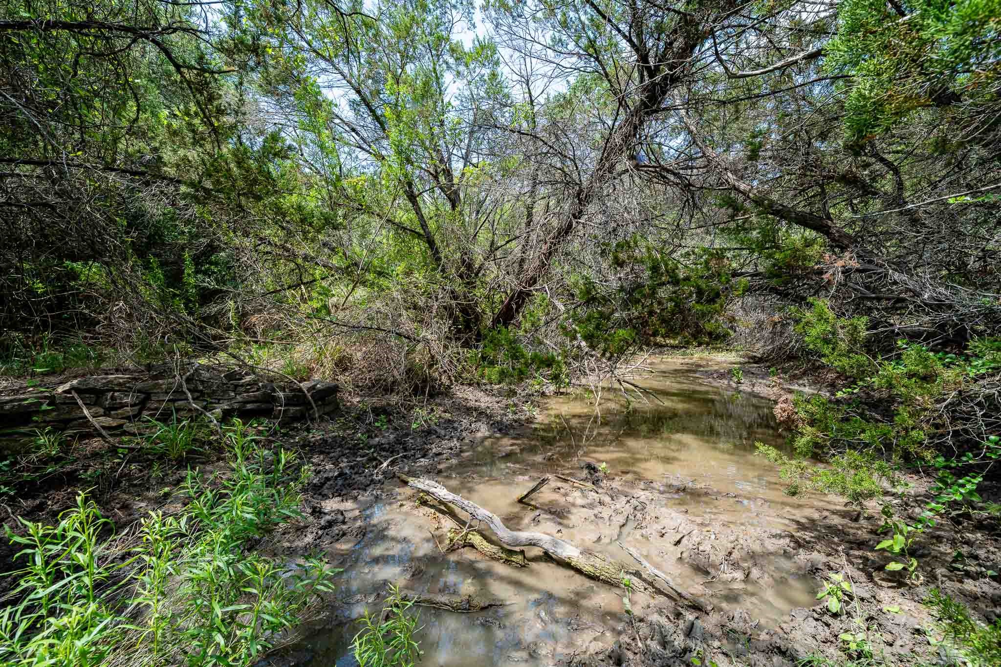 Tbd Fm 203 Glen Rose TX 76043