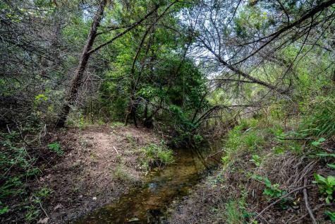 Tbd Fm 203 Glen Rose TX 76043