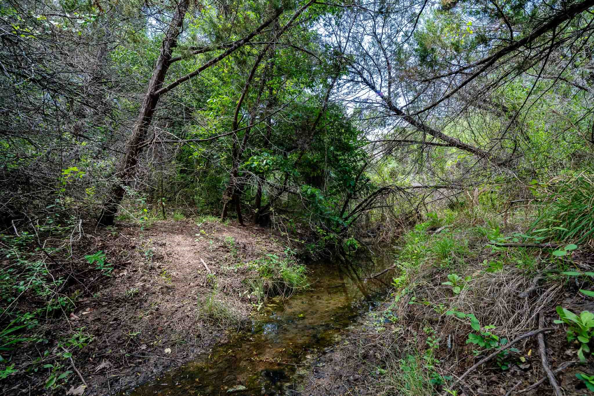Tbd Fm 203 Glen Rose TX 76043