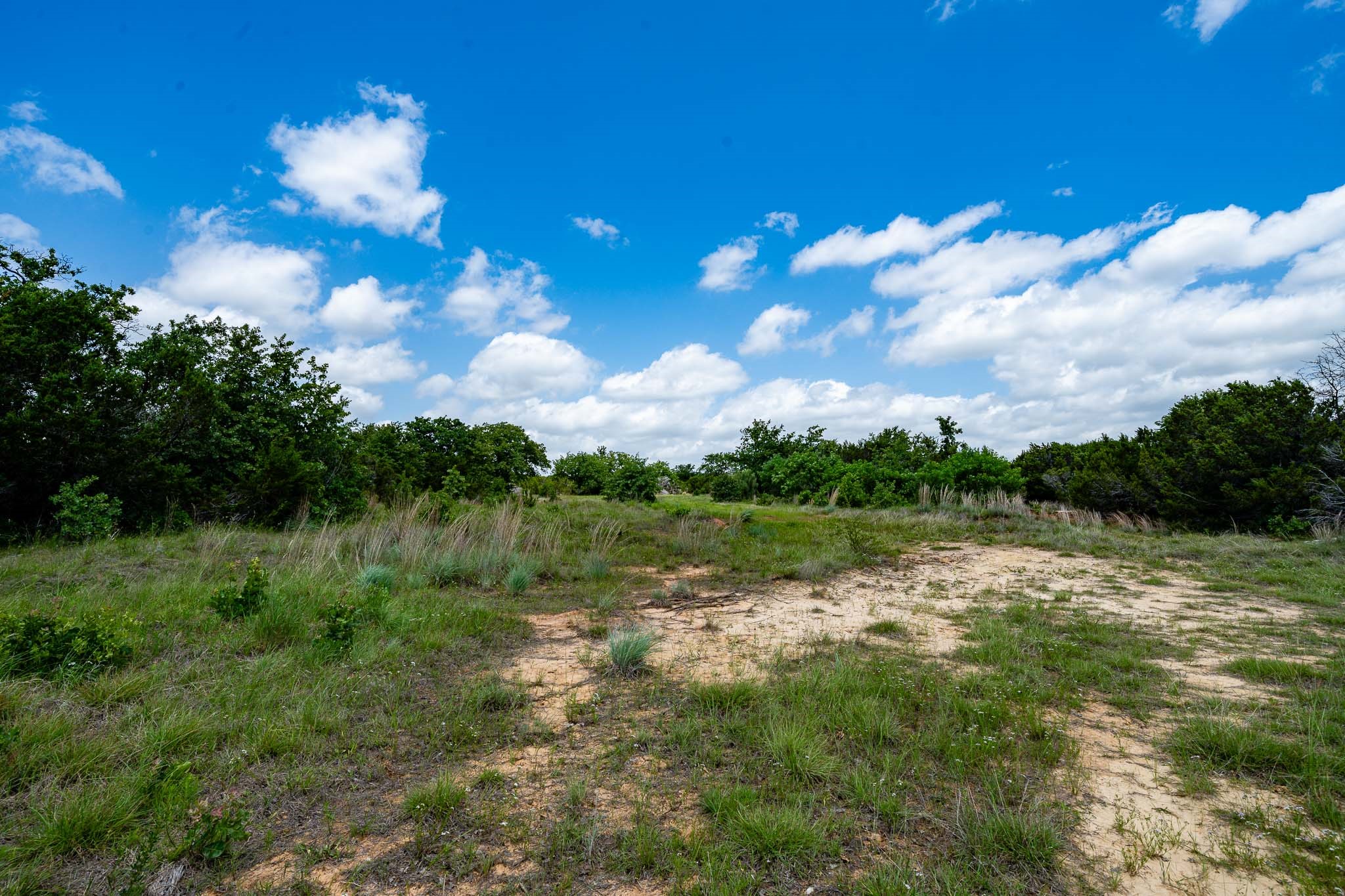 Tbd Fm 203 Glen Rose TX 76043