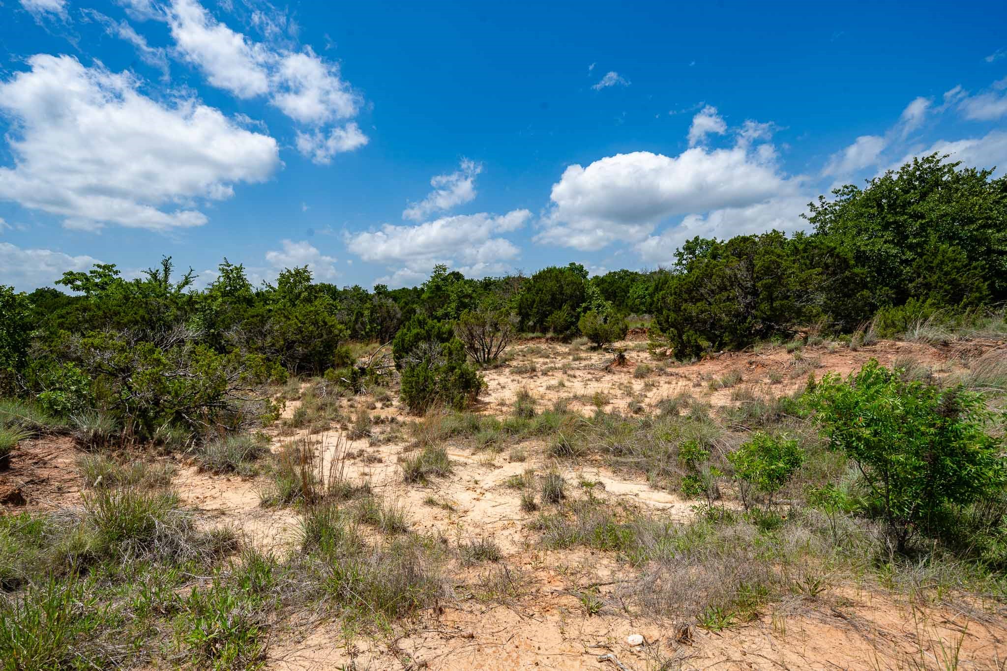 Tbd Fm 203 Glen Rose TX 76043