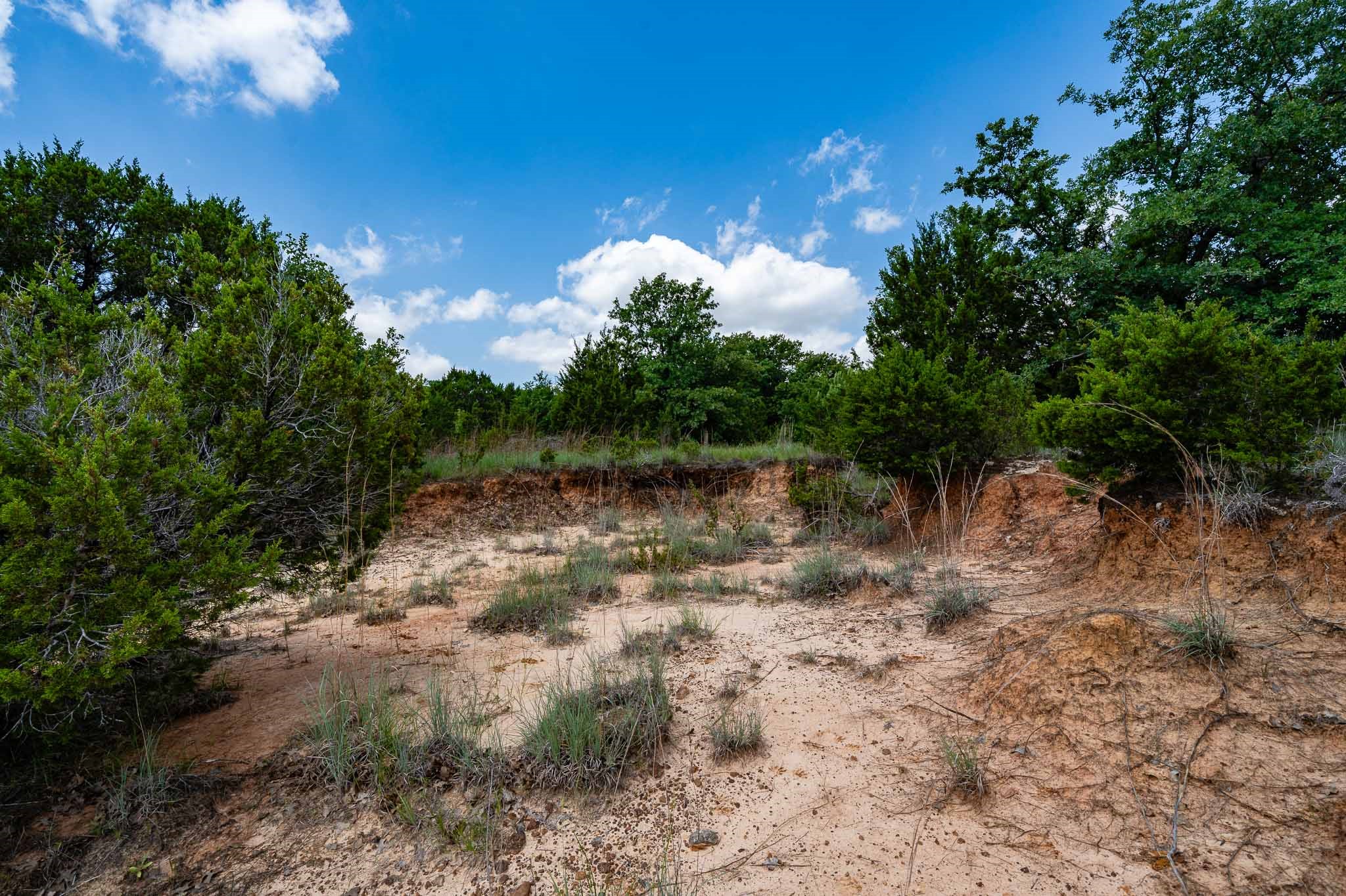 Tbd Fm 203 Glen Rose TX 76043