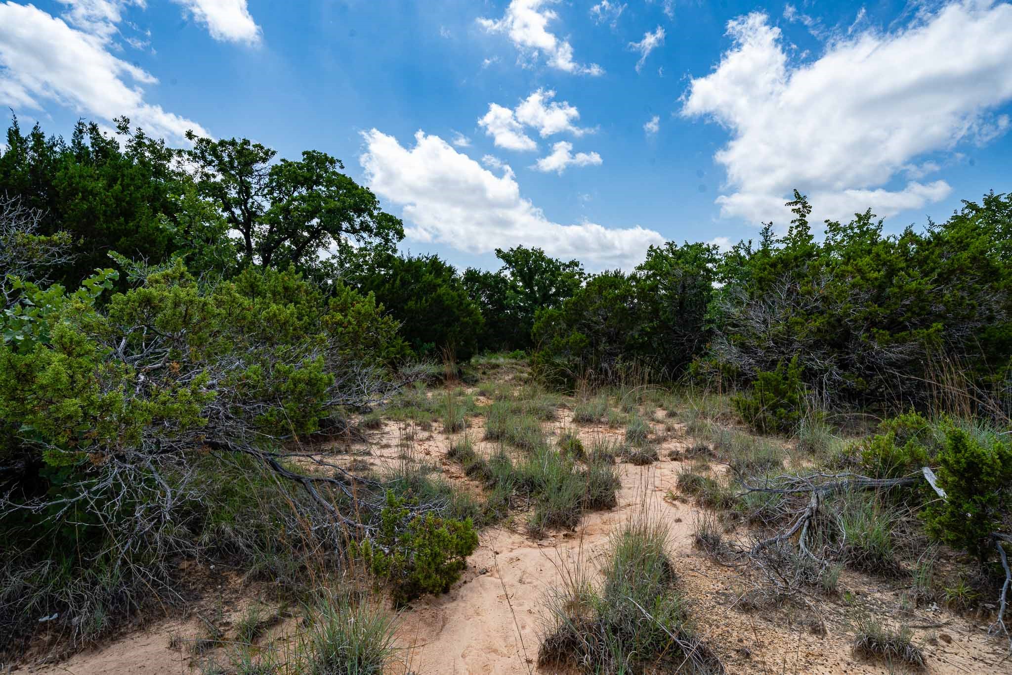 Tbd Fm 203 Glen Rose TX 76043