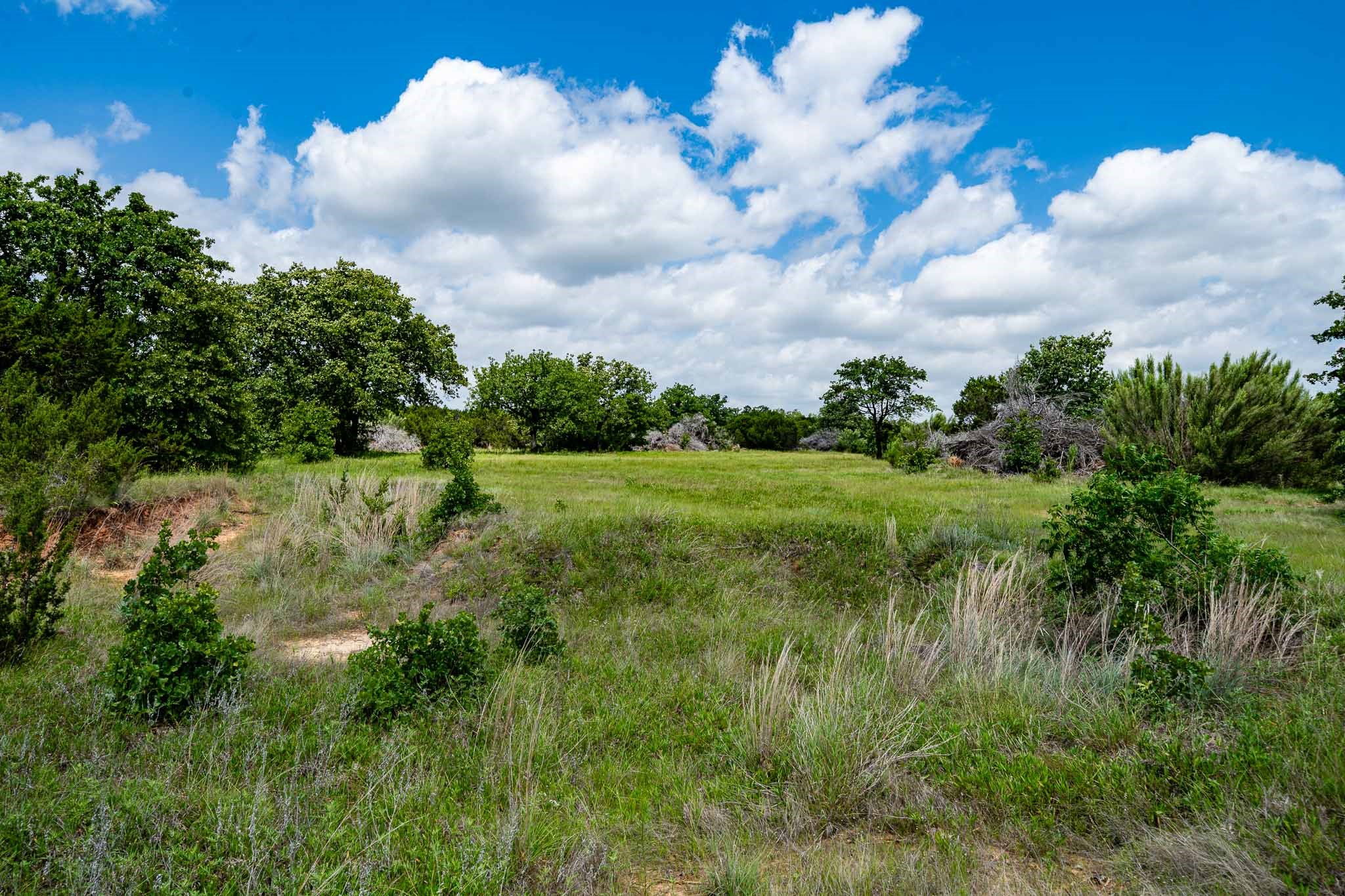 Tbd Fm 203 Glen Rose TX 76043