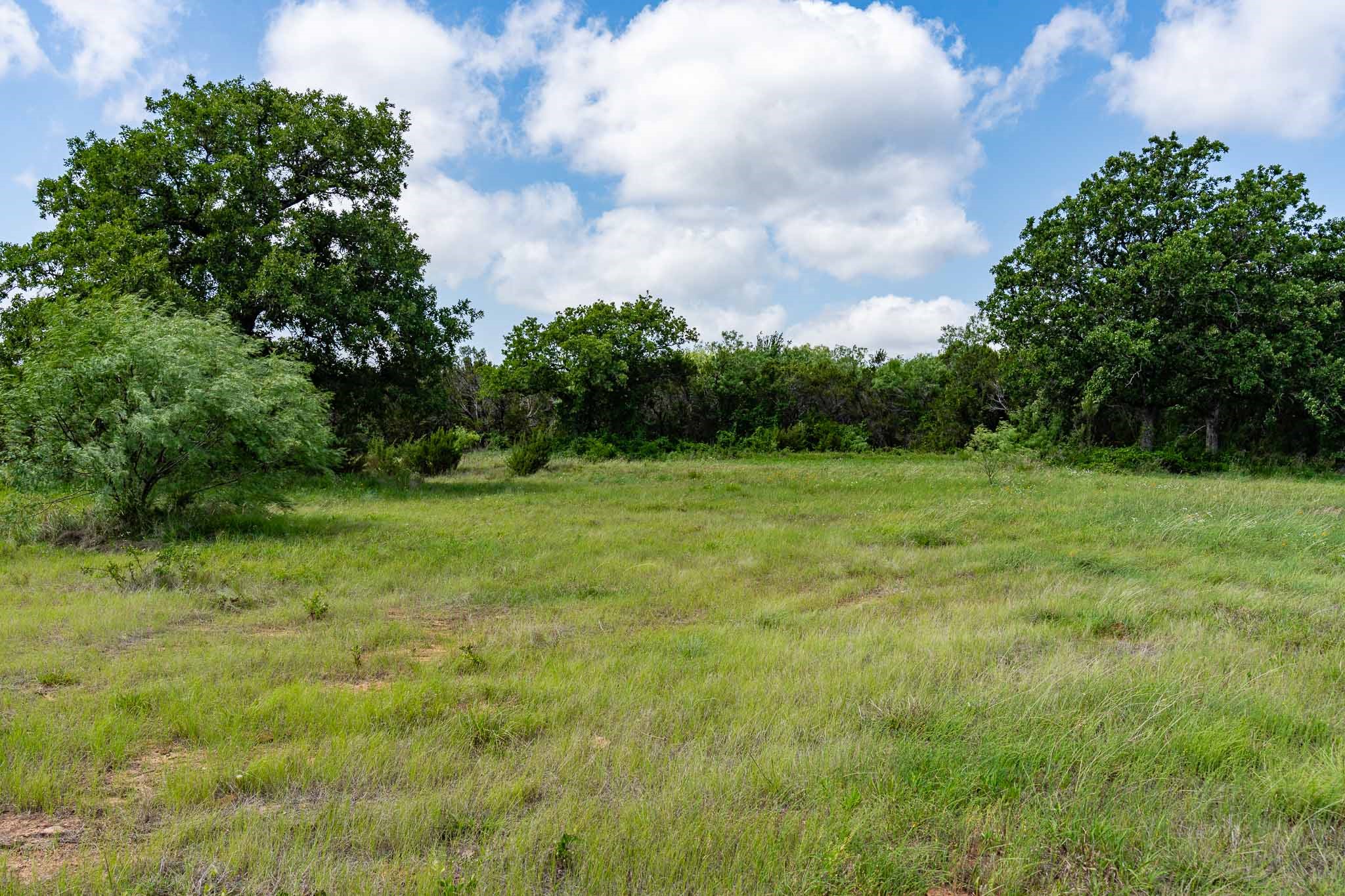 Tbd Fm 203 Glen Rose TX 76043