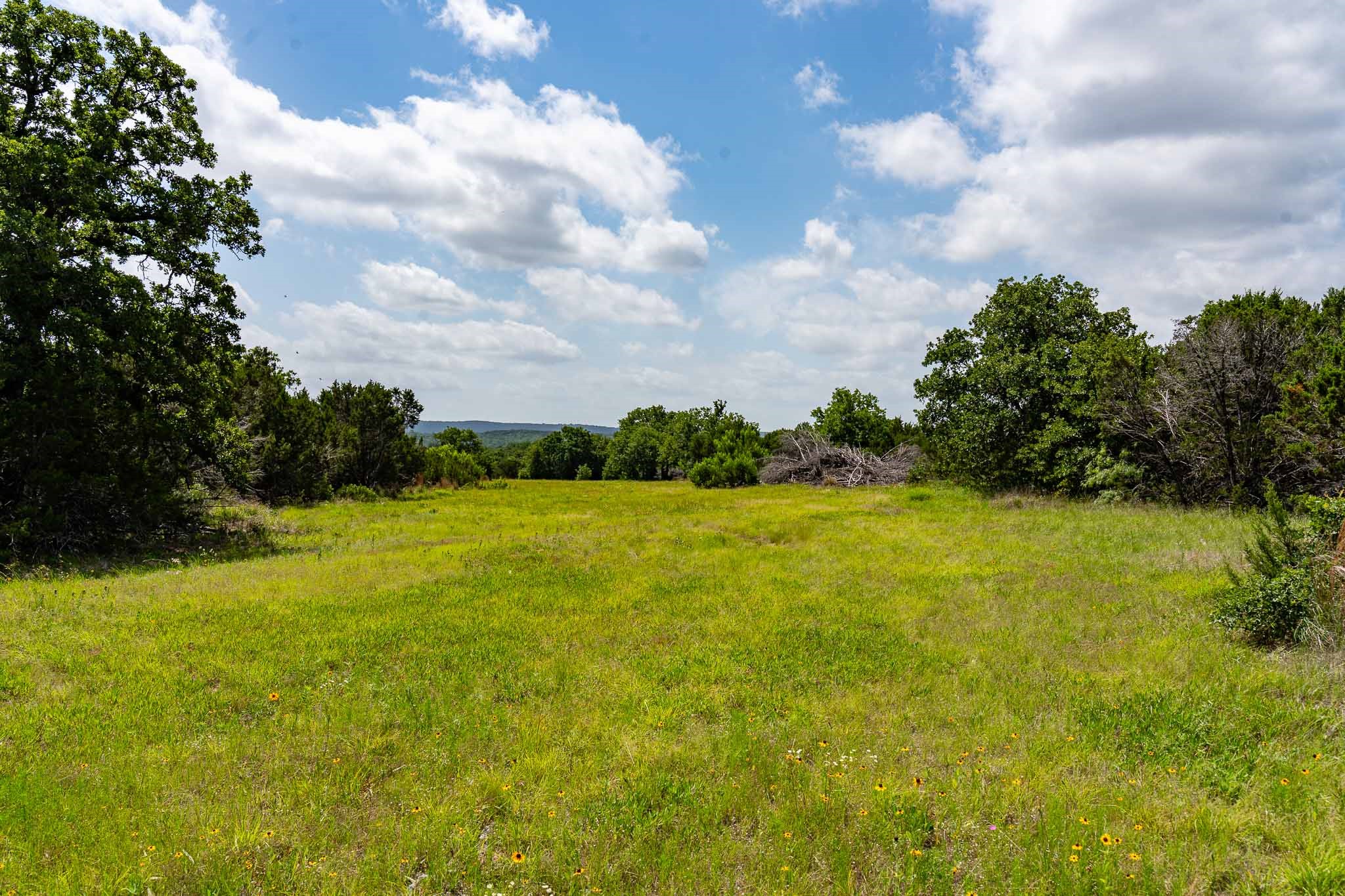 Tbd Fm 203 Glen Rose TX 76043