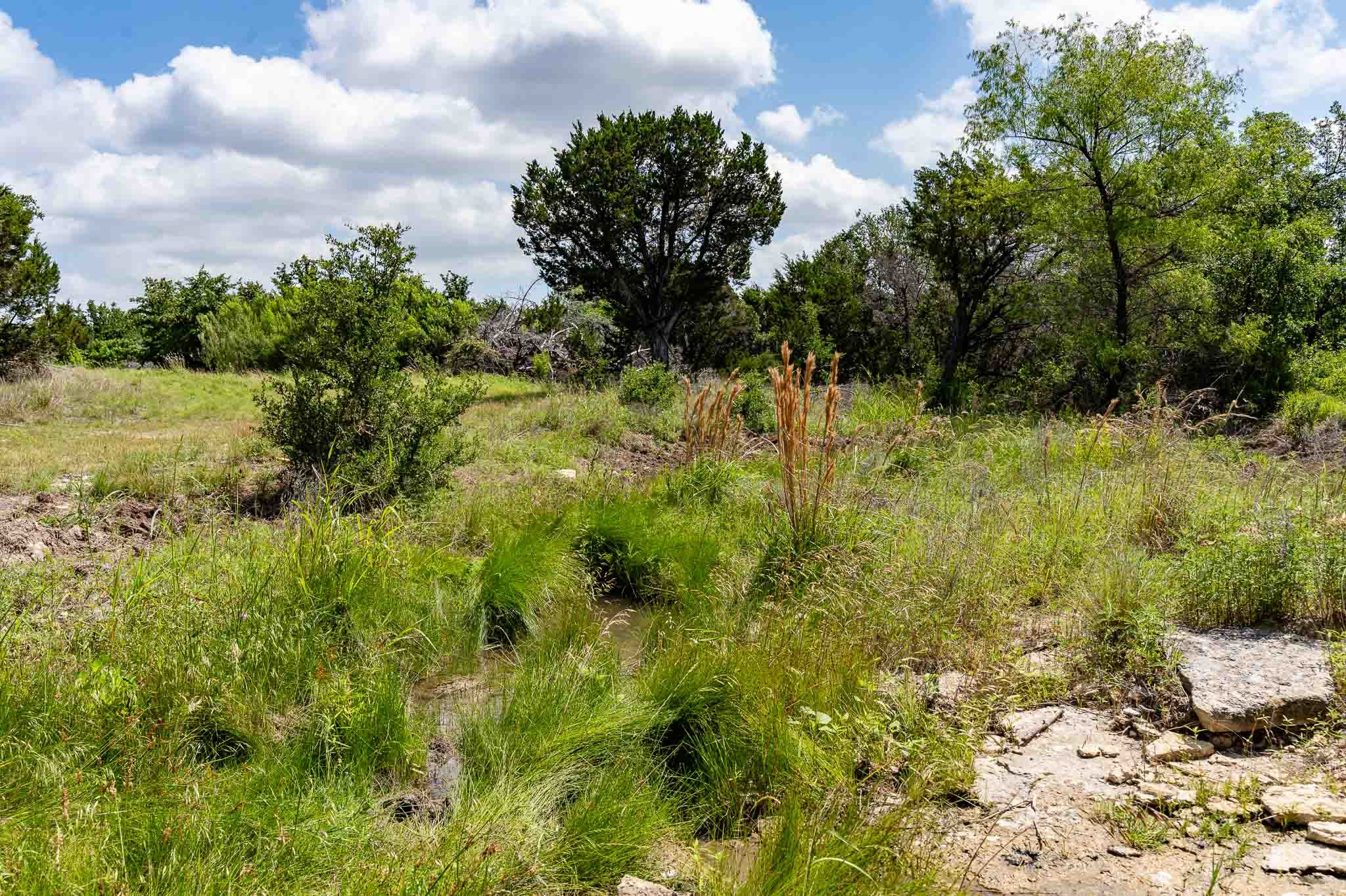 Tbd Fm 203 Glen Rose TX 76043