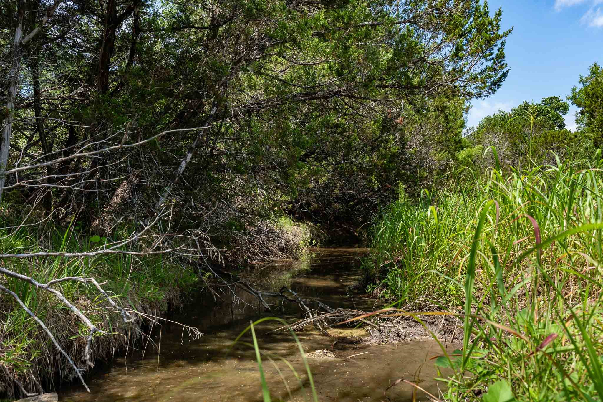 Tbd Fm 203 Glen Rose TX 76043
