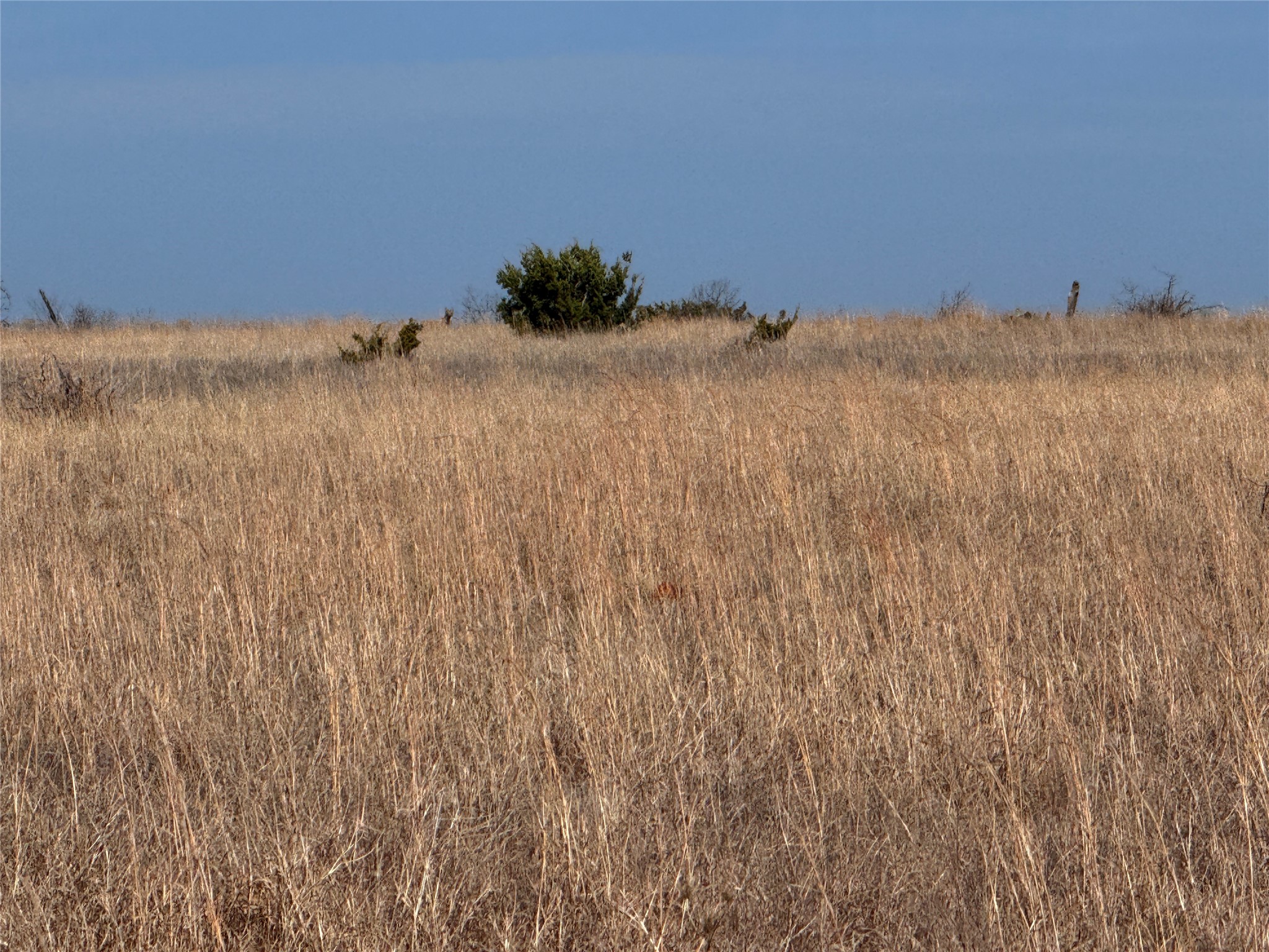 TBD1 Cr 619 Hamilton TX 76531