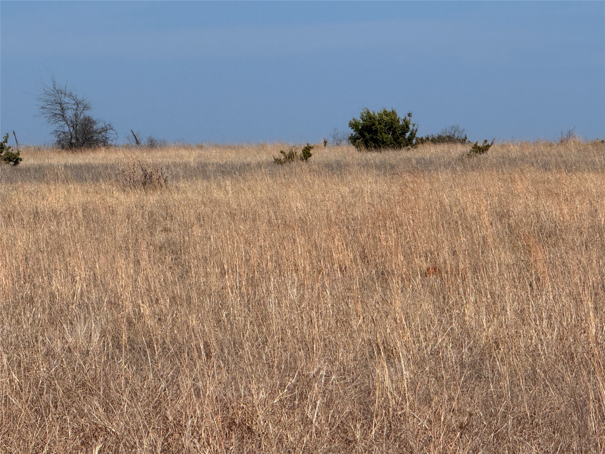 TBD1 Cr 619 Hamilton TX 76531