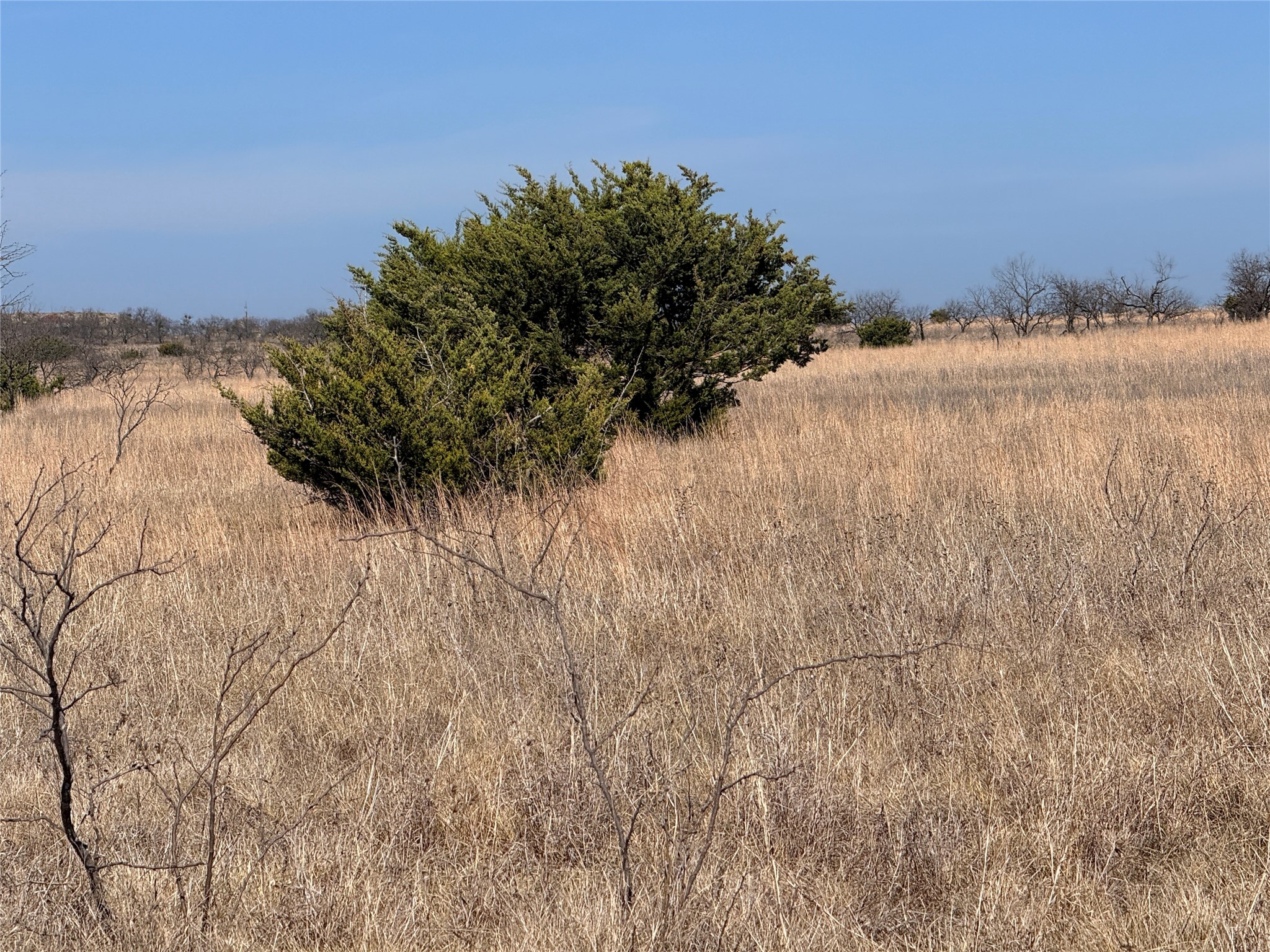 TBD1 Cr 619 Hamilton TX 76531