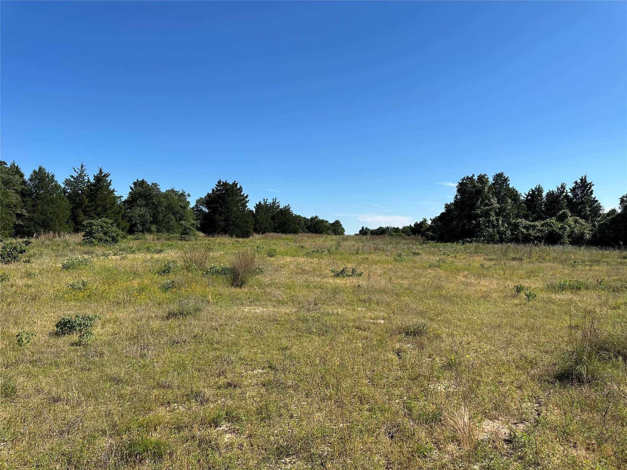 Tbd Fcr 720 Teague TX 75860