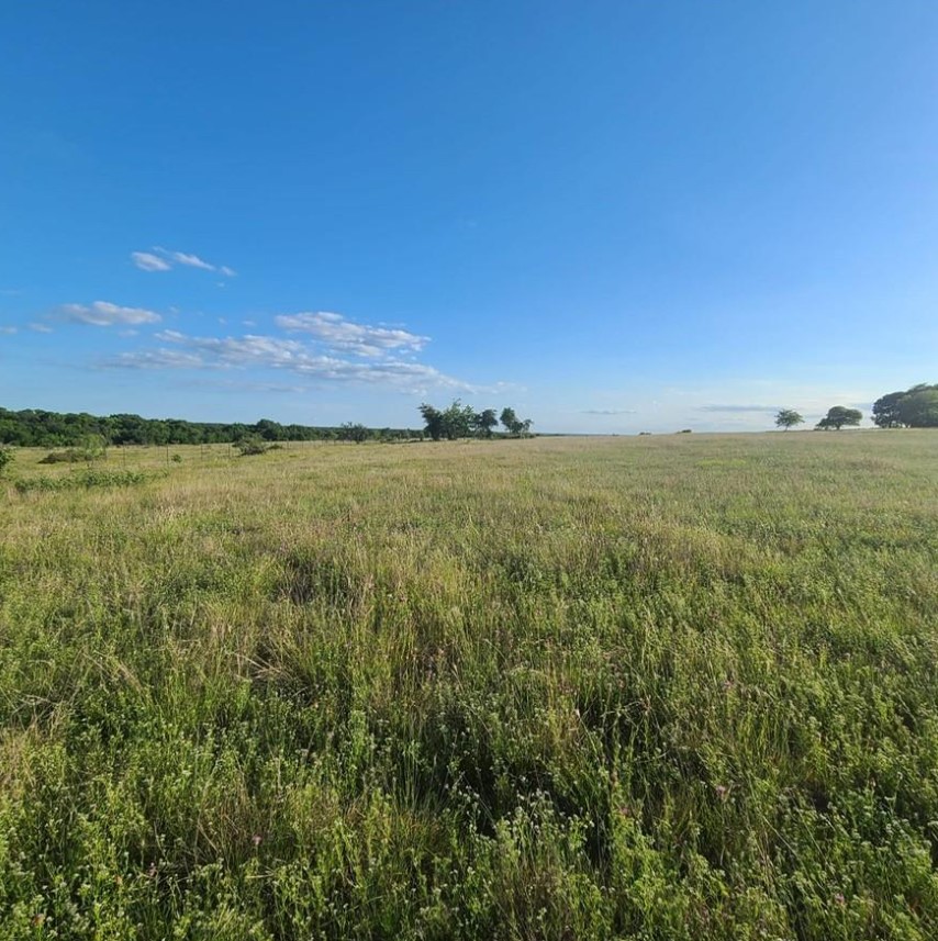 Tbd Crest View Trail Hillsboro TX 76645