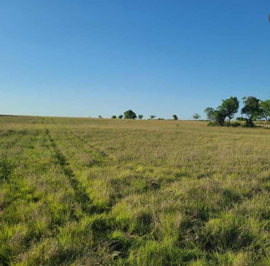 Tbd Crest View Trail Hillsboro TX 76645