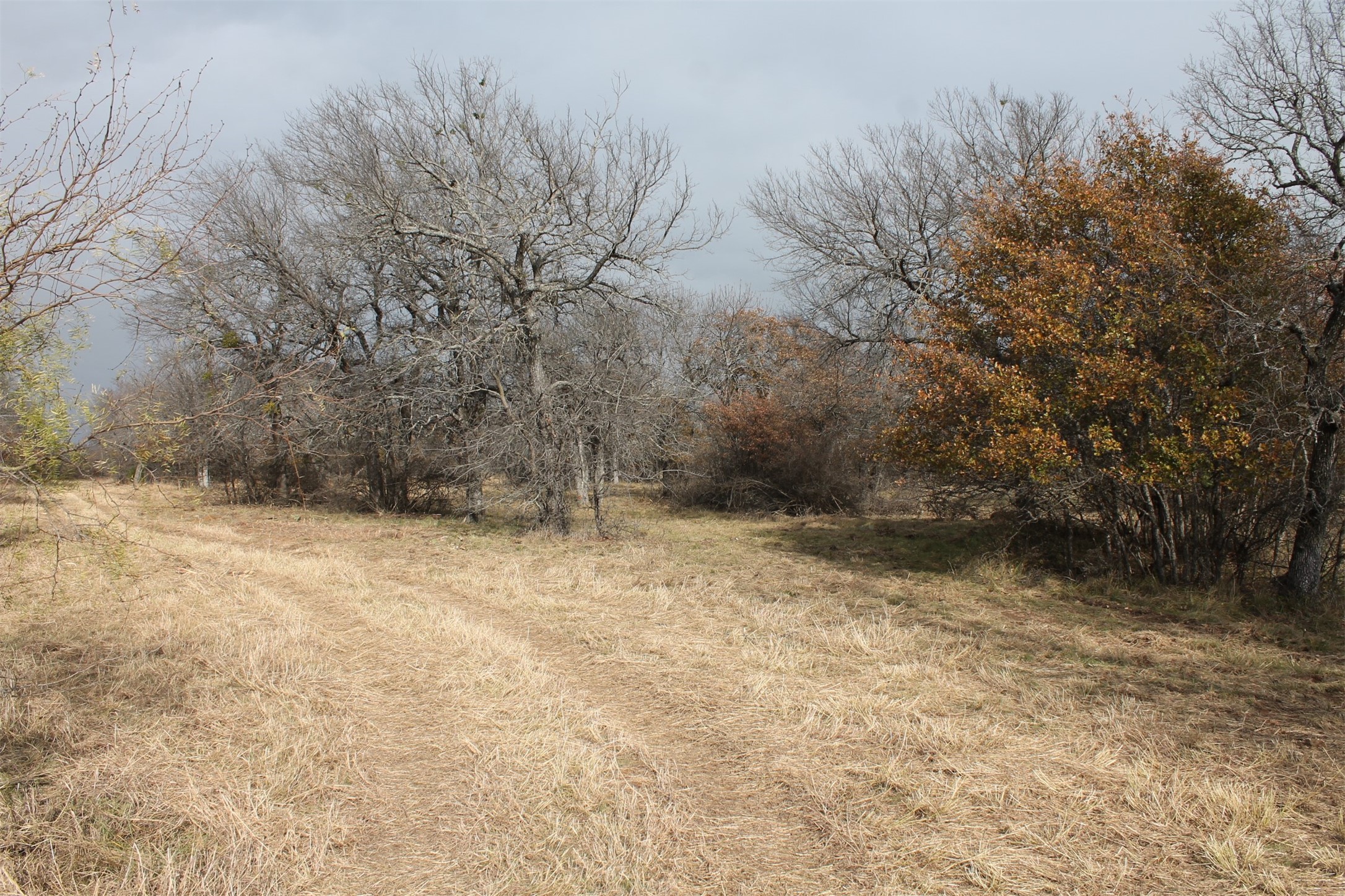 2 Lots Ridgeline Drive Chico TX 76431