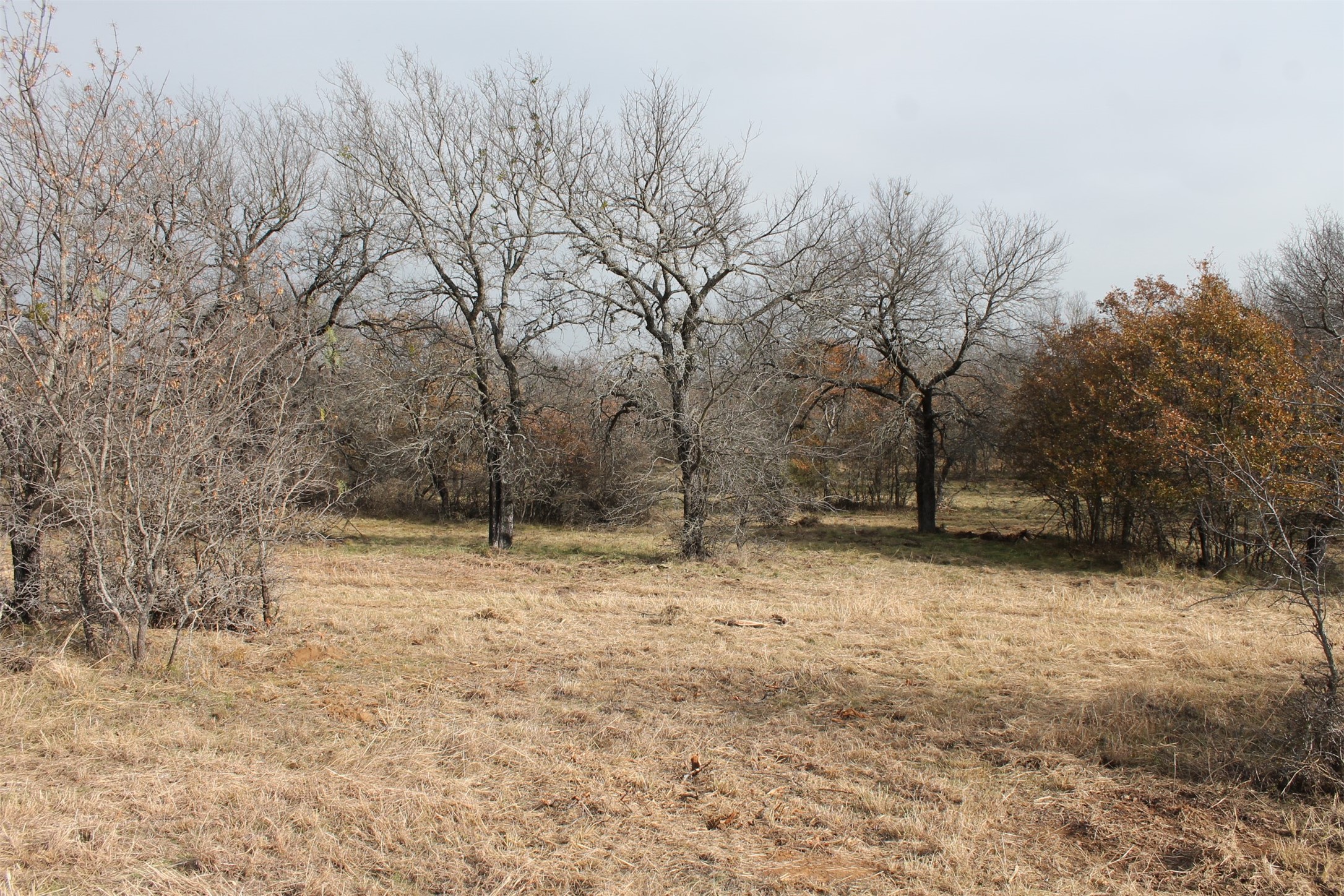 2 Lots Ridgeline Drive Chico TX 76431