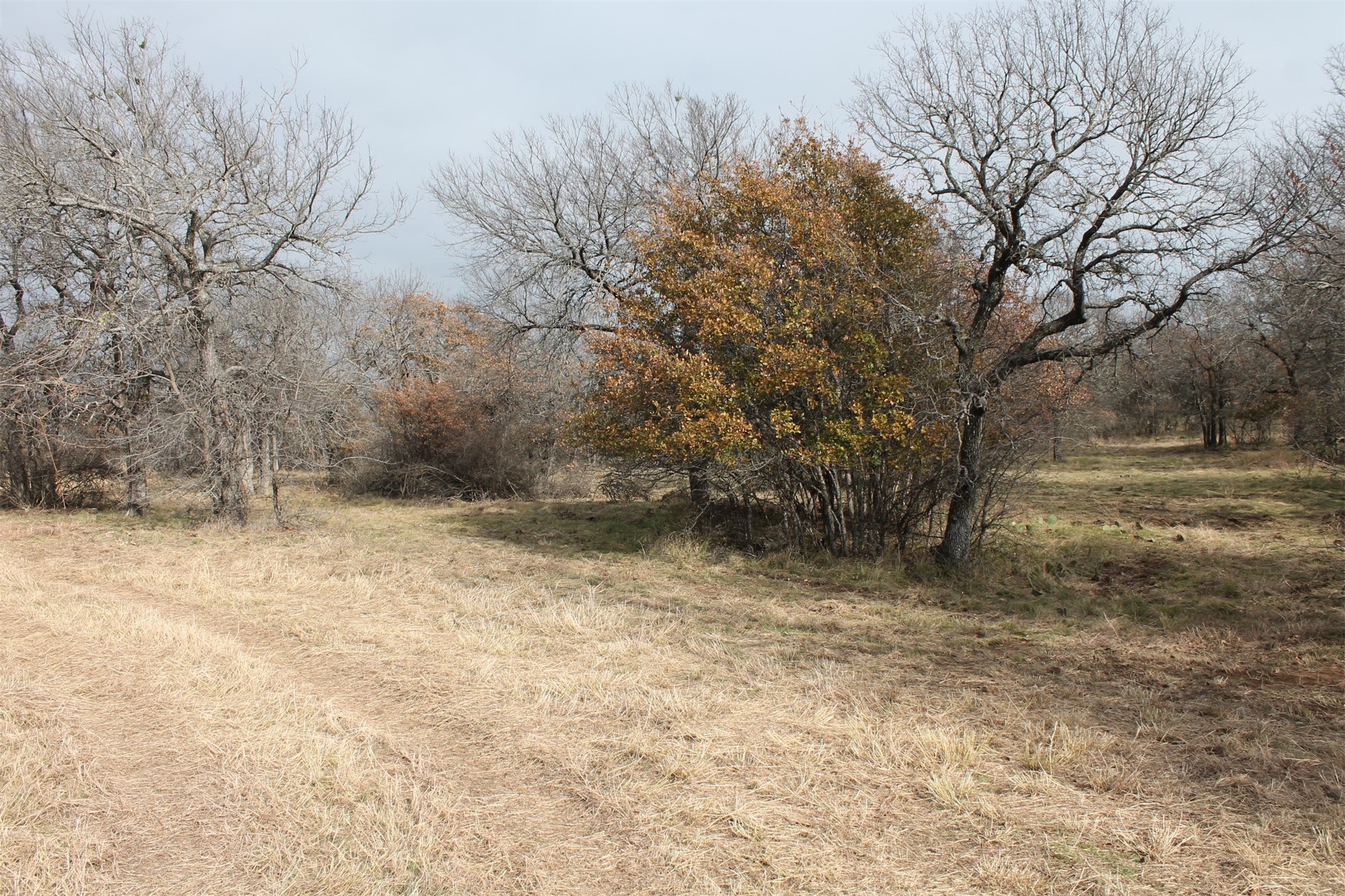 2 Lots Ridgeline Drive Chico TX 76431