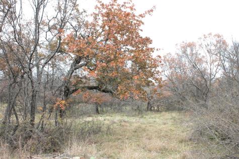 2 Lots Ridgeline Drive Chico TX 76431