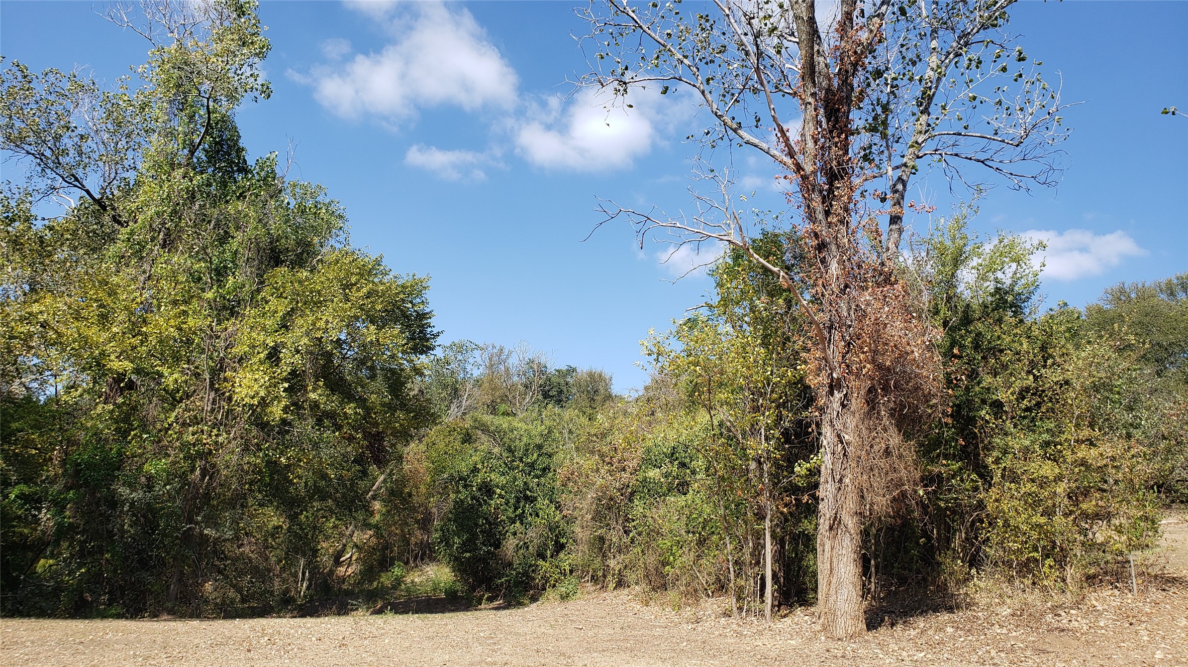 Tbd Canyon Ridge Drive Waco TX 76705