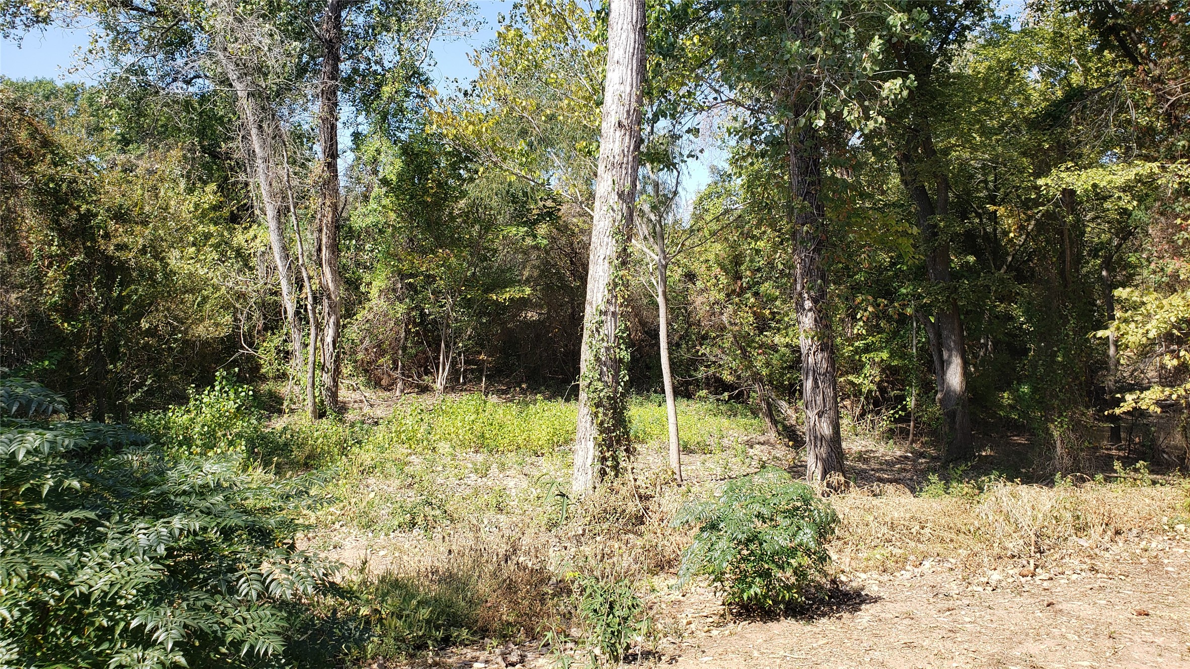 Tbd Canyon Ridge Drive Waco TX 76705