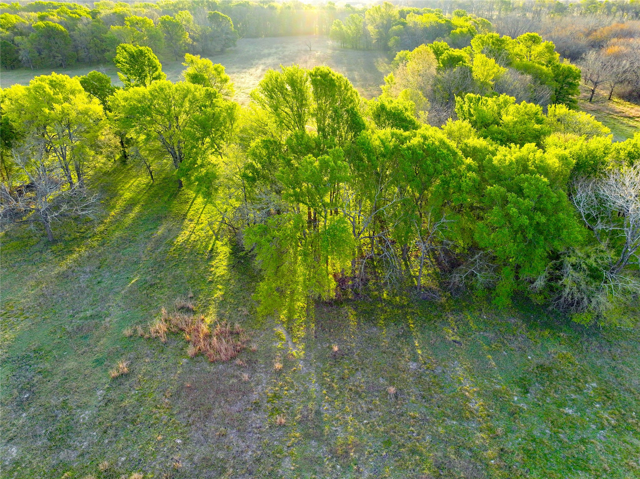None Tbd C.r. 386 Marquez TX 77865