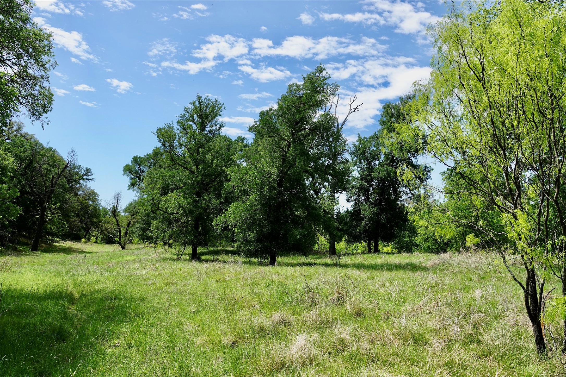 588 S Cr 430 Goldthwaite TX 76844
