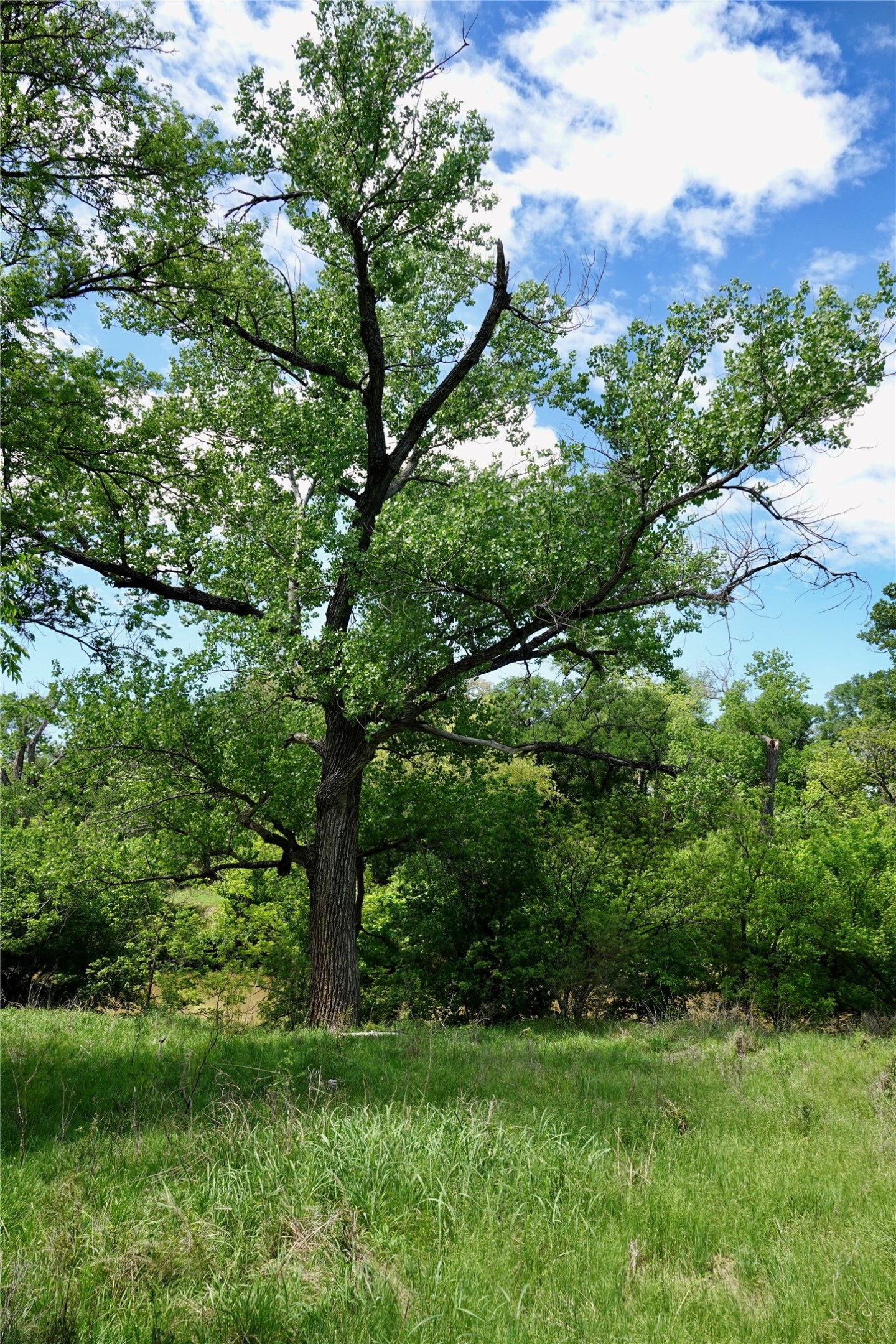 588 S Cr 430 Goldthwaite TX 76844